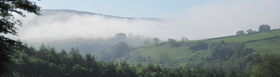 View from Nidd Cottage