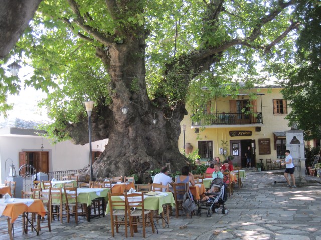 Giant plane tree and plateia inTsangaradha, Pelion