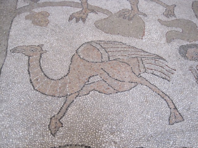 Part of the mosaic floor, cathedral at Otranto