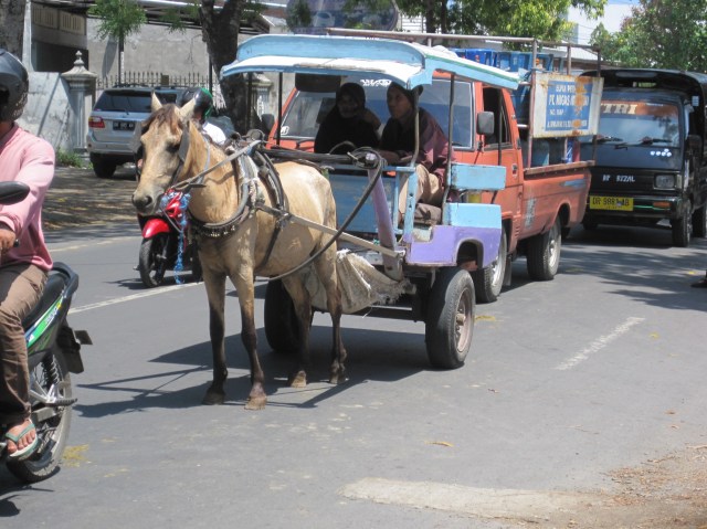 'One horse power' transport on Lombok