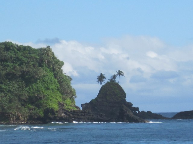 Palm trees on rocks, American Samoa