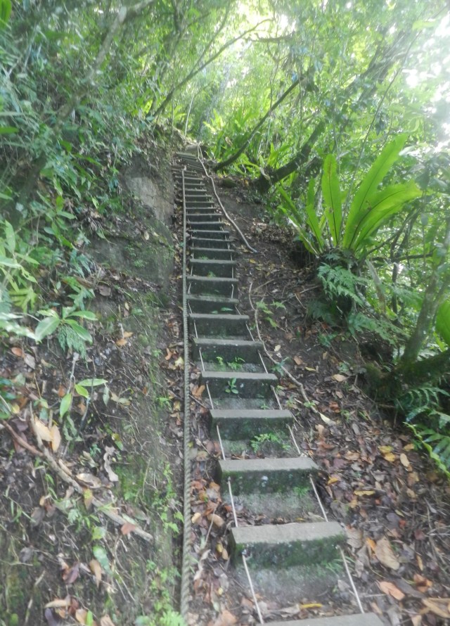 Hiking trail, American Samoa
