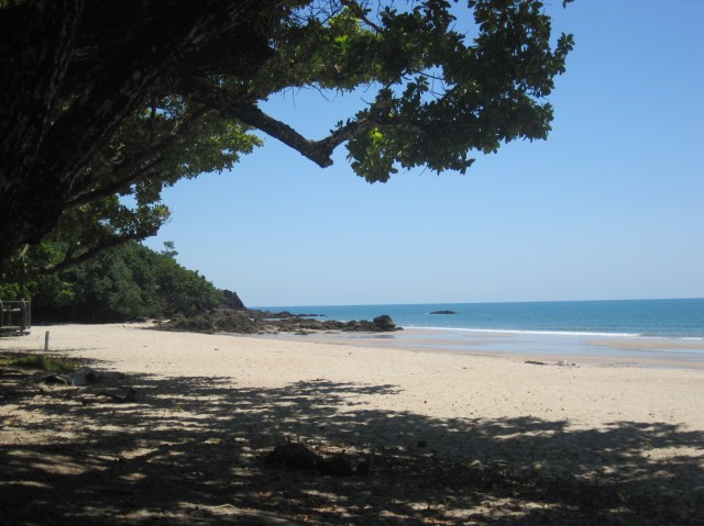 Etty Beach - no cassowaries