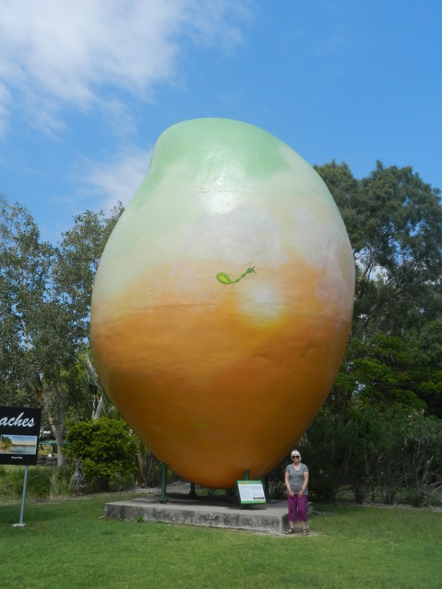 Giant mango at Bowen