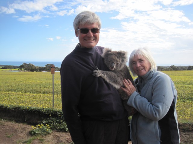 Koala at Paul's Place