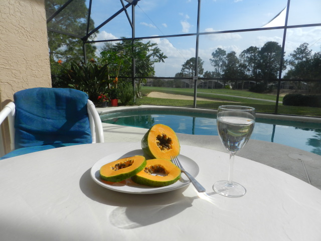 Papaya and pool, Florida Breeze Villa