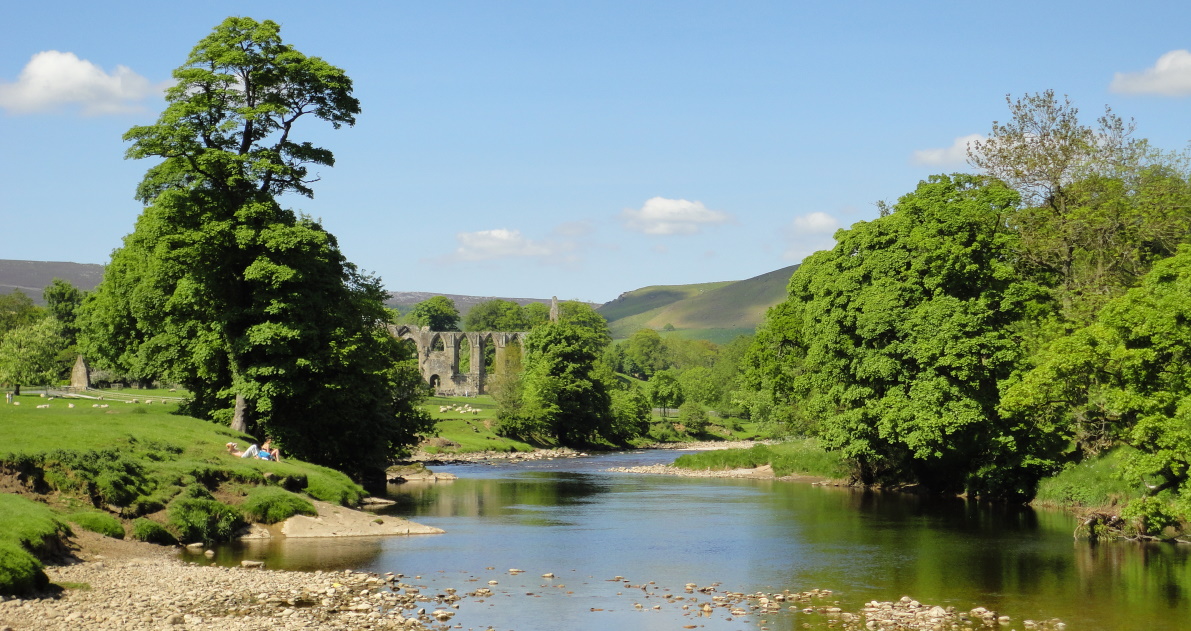 River Wharfe at Bolton Abbey