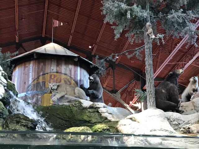 Bass Pro Shops Outdoor World