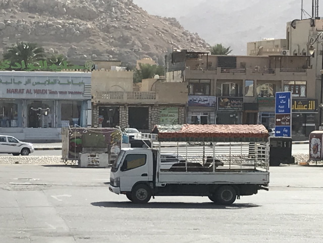Camels on the way to market