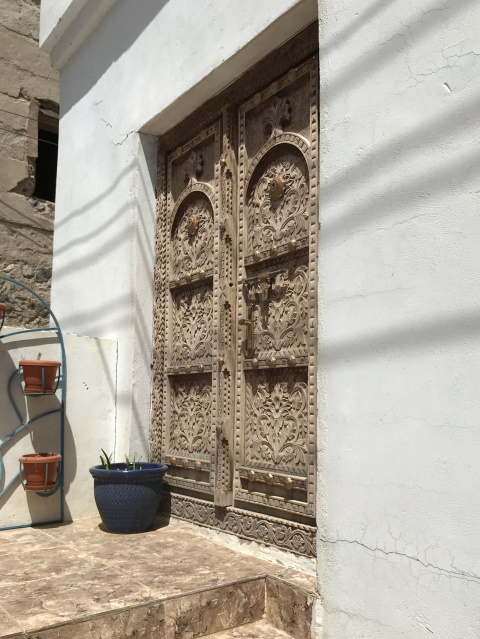 Wooden door on modern house