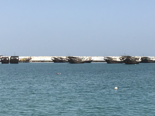 Spot the turtles, Sur