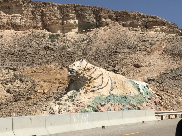 Tiger rock on roadside near Sur