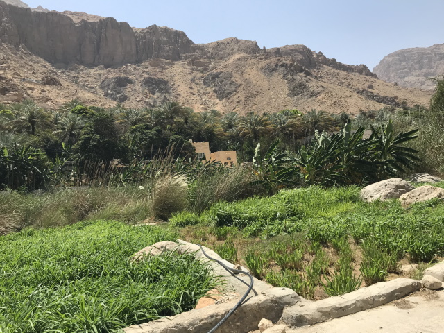 Wadi Tiwi