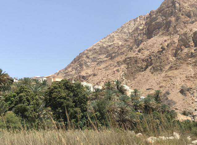 Modern houses, Wadi Tiwi