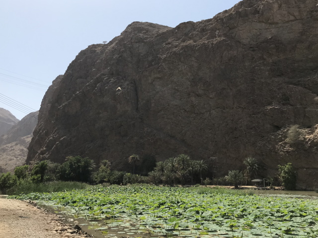 Wadi Shab