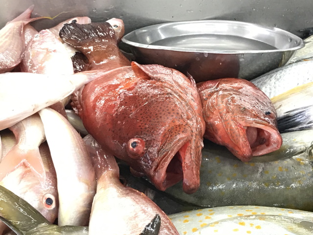 Fish market. Muttrah