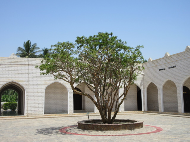 Museum of the Frankincense Land, Salalah
