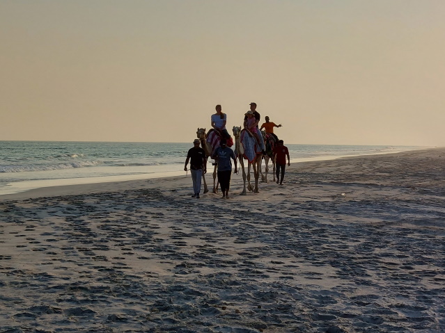 Camel riders, Rotana Resort