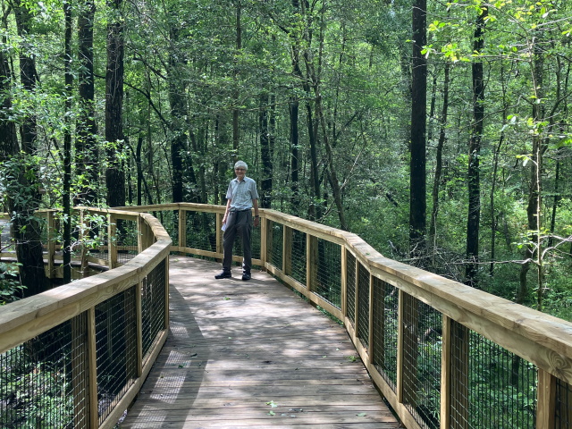 Boardwalk at Congaree National Park