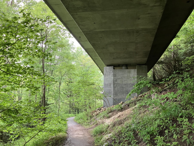 Trail under Blue Ridge Parkway