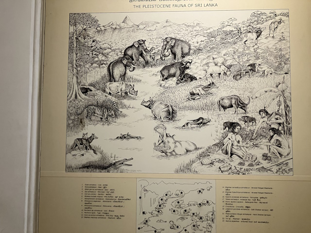 In National Museum, Colombo