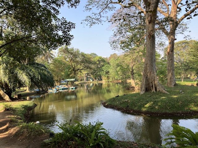 Lake near Museum, Colombo